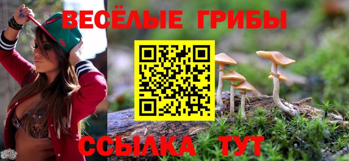 Псилоцибиновые грибы мухоморы Шали
