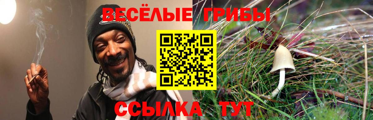 Шали  Галлюциногенные грибы мухоморы  наркота  Галлюциногенные грибы мицелий  Вход с VPN 